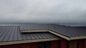 Fast & Reliable Emergency Roof Repairs in Perry, OK